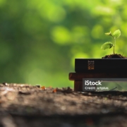 02.11.2025 – Pastor, Darko Glešić – Vrijeme sijanja ili vrijeme žetve